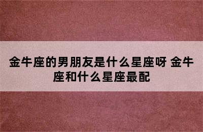 金牛座的男朋友是什么星座呀 金牛座和什么星座最配